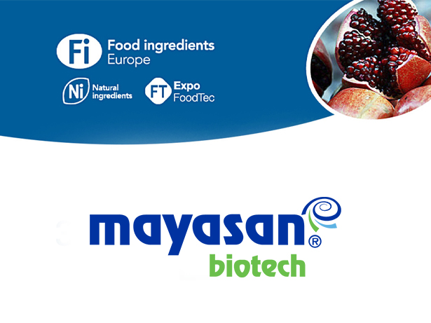 FI Europe 2019