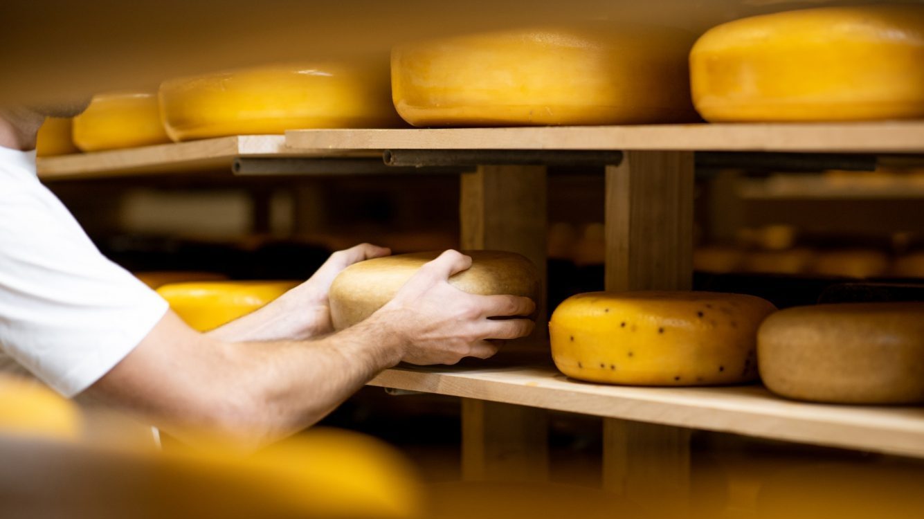 Cheese maker